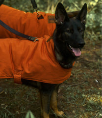 L.L.Bean & Noah Kahan Reversible Field Coat for Dogs NEW|OUTDOOR EQUIPMENT|HOME GOODS|SALE