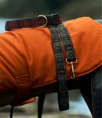 L.L.Bean & Noah Kahan Novelty Dog Collar NEW|OUTDOOR EQUIPMENT|HOME GOODS|SALE