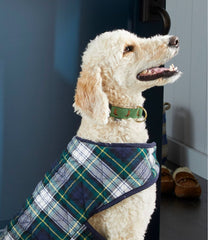 L.L.Bean Novelty Dog Collar OUTDOOR EQUIPMENT|HOME GOODS