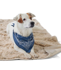 L.L.Bean Plush Cuddler Dog Blanket OUTDOOR EQUIPMENT|HOME GOODS