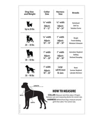 L.L.Bean Personalized Pet Collar, Reflective OUTDOOR EQUIPMENT|HOME GOODS