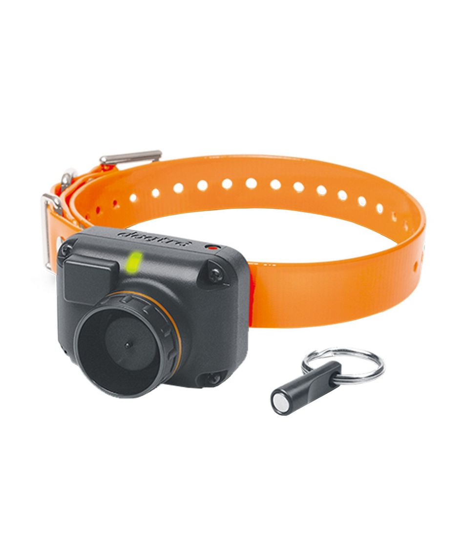 L.L.Bean Dogtra STB Beeper Collar OUTDOOR EQUIPMENT|HOME GOODS