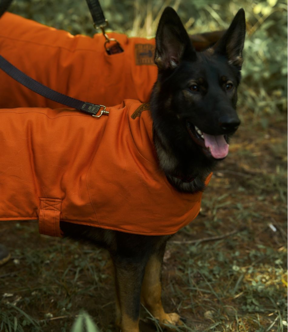 L.L.Bean & Noah Kahan Reversible Field Coat for Dogs NEW|OUTDOOR EQUIPMENT|HOME GOODS|SALE