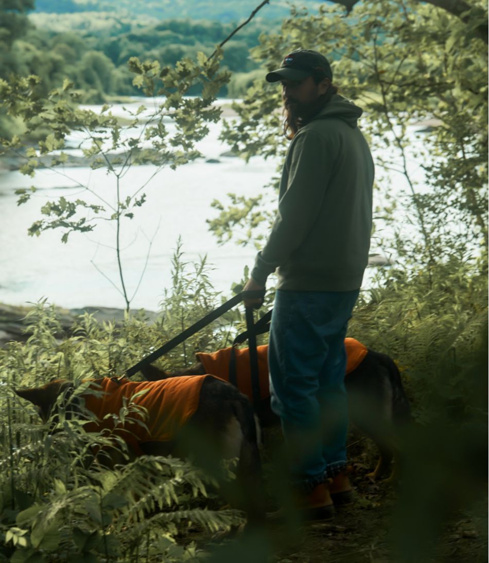 L.L.Bean & Noah Kahan Reversible Field Coat for Dogs NEW|OUTDOOR EQUIPMENT|HOME GOODS|SALE