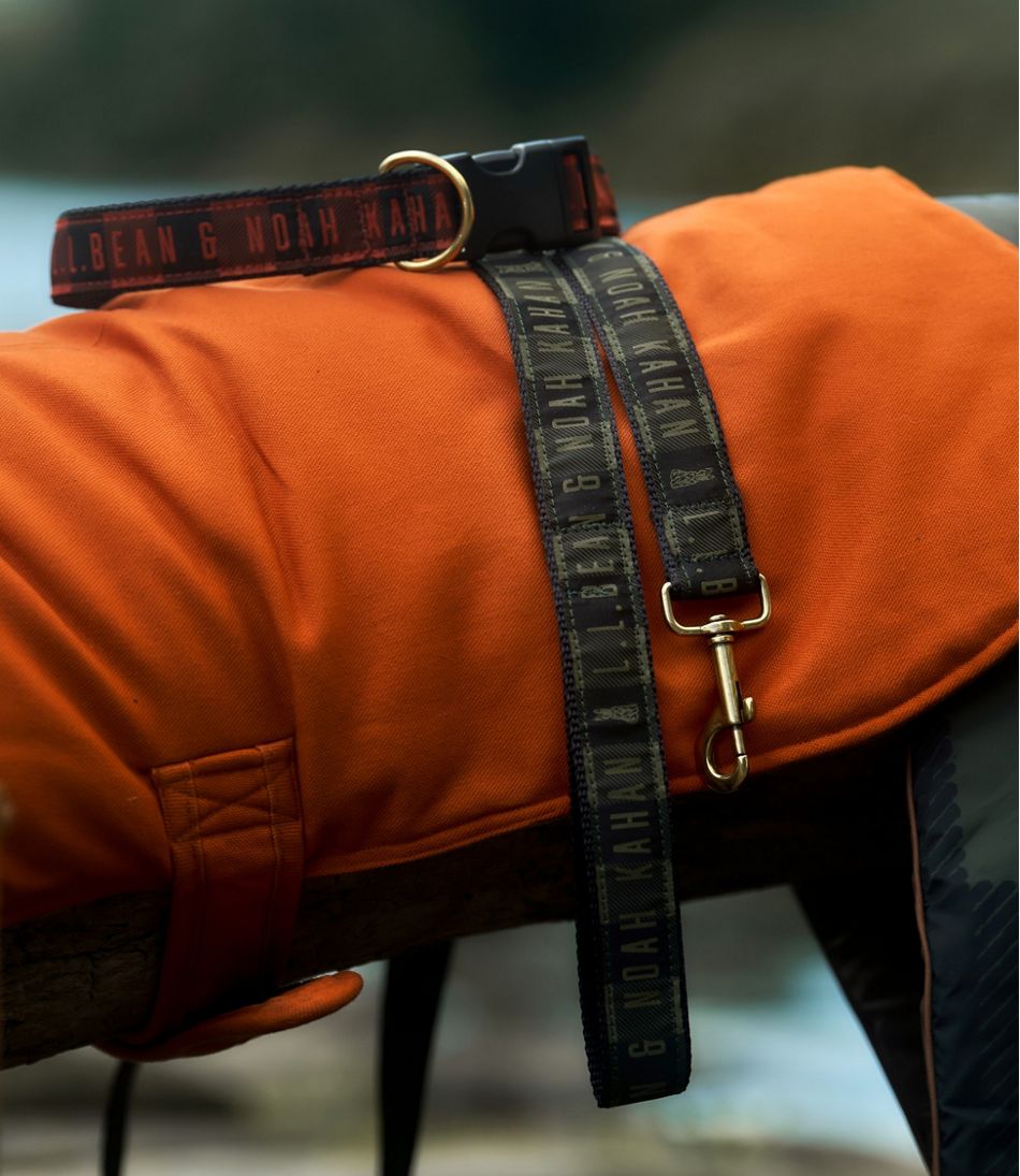 L.L.Bean & Noah Kahan Novelty Dog Leash NEW|OUTDOOR EQUIPMENT|HOME GOODS|SALE