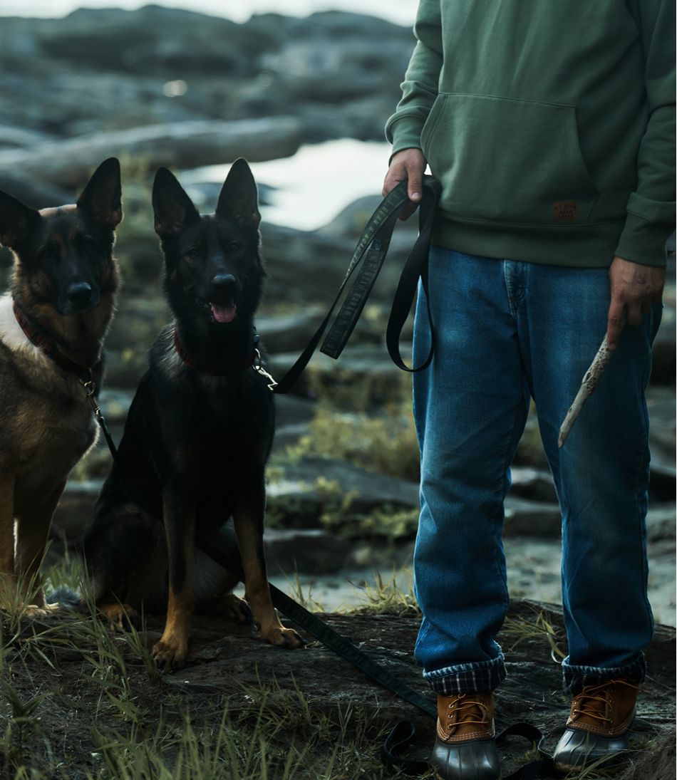 L.L.Bean & Noah Kahan Novelty Dog Leash NEW|OUTDOOR EQUIPMENT|HOME GOODS|SALE