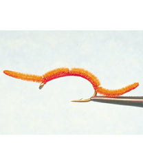 L.L.Bean San Juan Worm, 2-Pack OUTDOOR EQUIPMENT