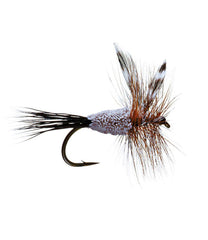 L.L.Bean Irresistible, 2-Pack OUTDOOR EQUIPMENT