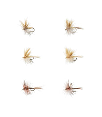 L.L.Bean Umpqua Six-Piece Mayfly Dry Fly Selection OUTDOOR EQUIPMENT