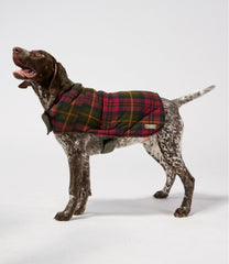 L.L.Bean Reversible Field Coat for Dogs OUTDOOR EQUIPMENT|HOME GOODS