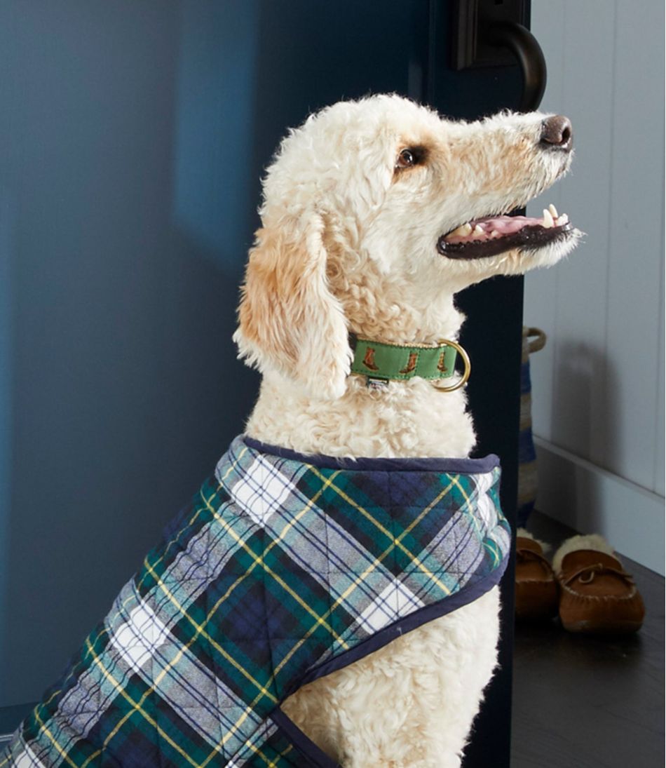 L.L.Bean Novelty Dog Collar OUTDOOR EQUIPMENT|HOME GOODS