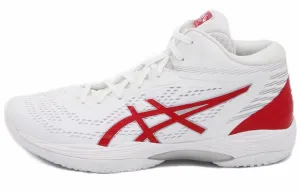 Asics Gel-Hoop V14 Men's Basketball Shoes