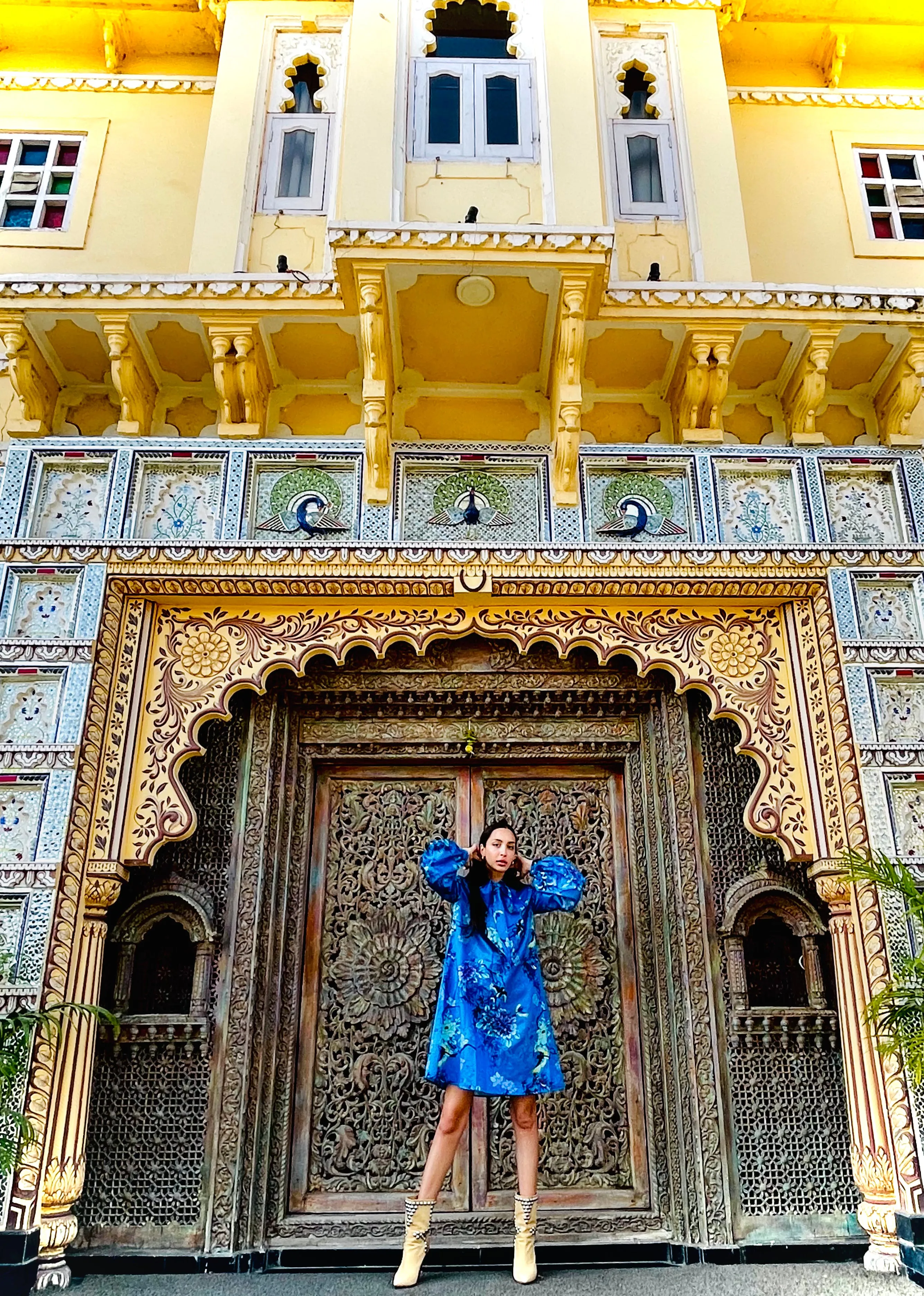 Jaipur Gardens Chinoiserie Dress