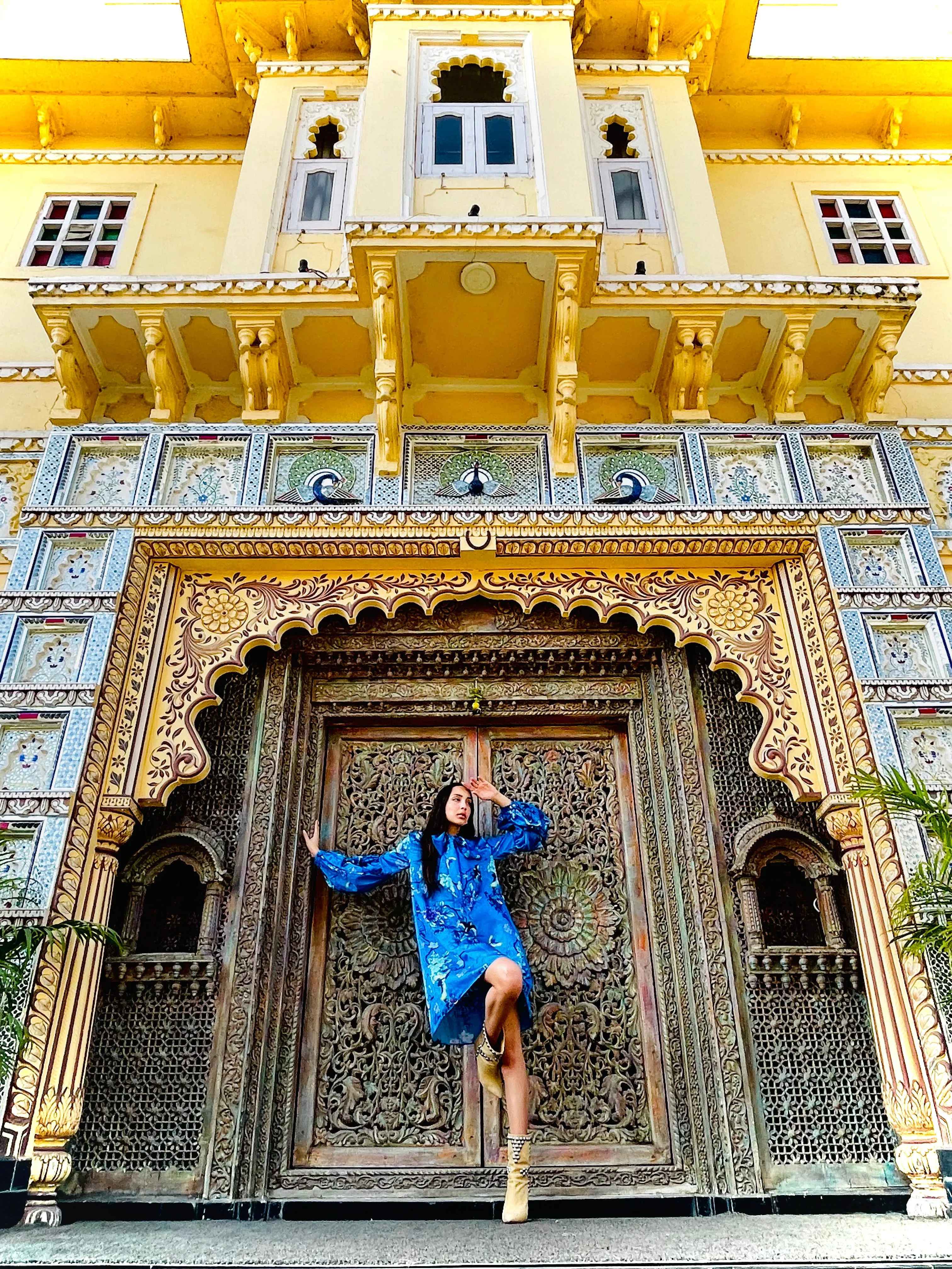 Jaipur Gardens Chinoiserie Dress